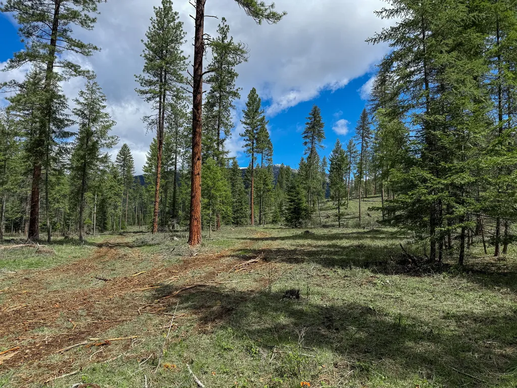 47 Dickson Drive Thompson Falls MT 59873