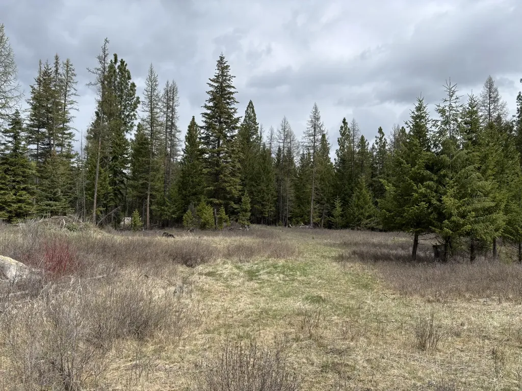 52 Haskill Ranch Road Kila MT 59920