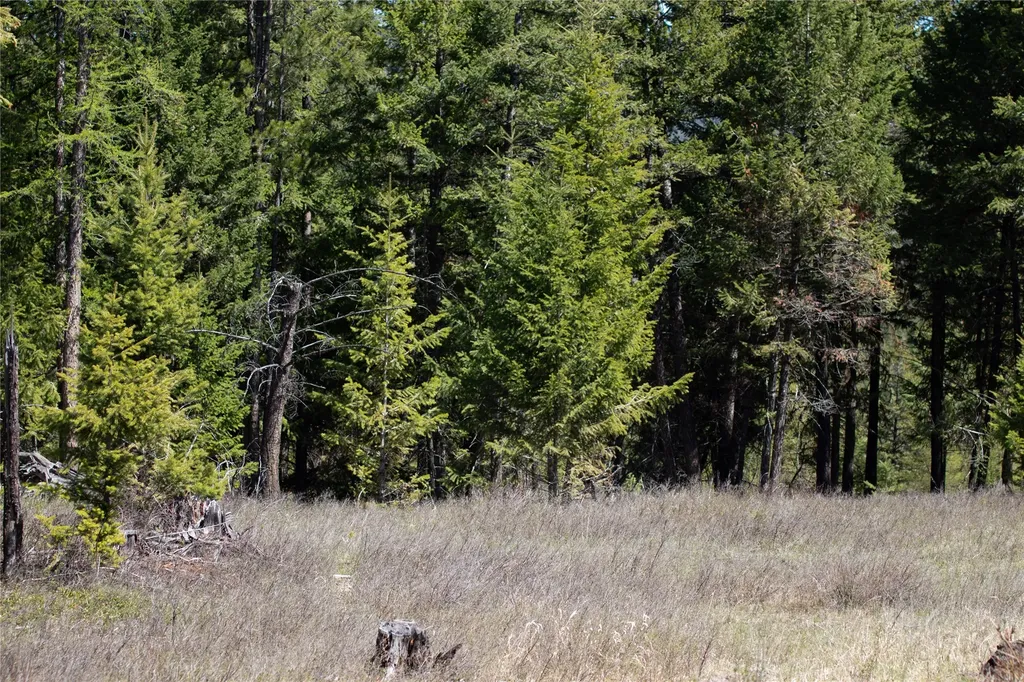 52 Haskill Ranch Road Kila MT 59920