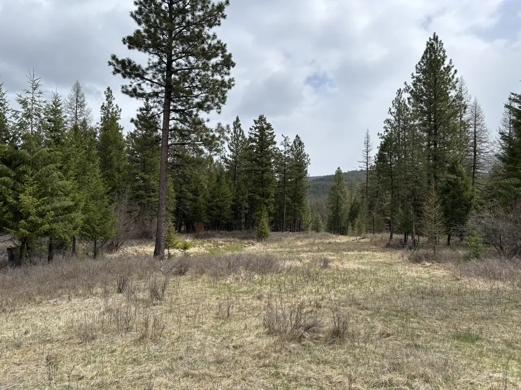 52 Haskill Ranch Road Kila MT 59920
