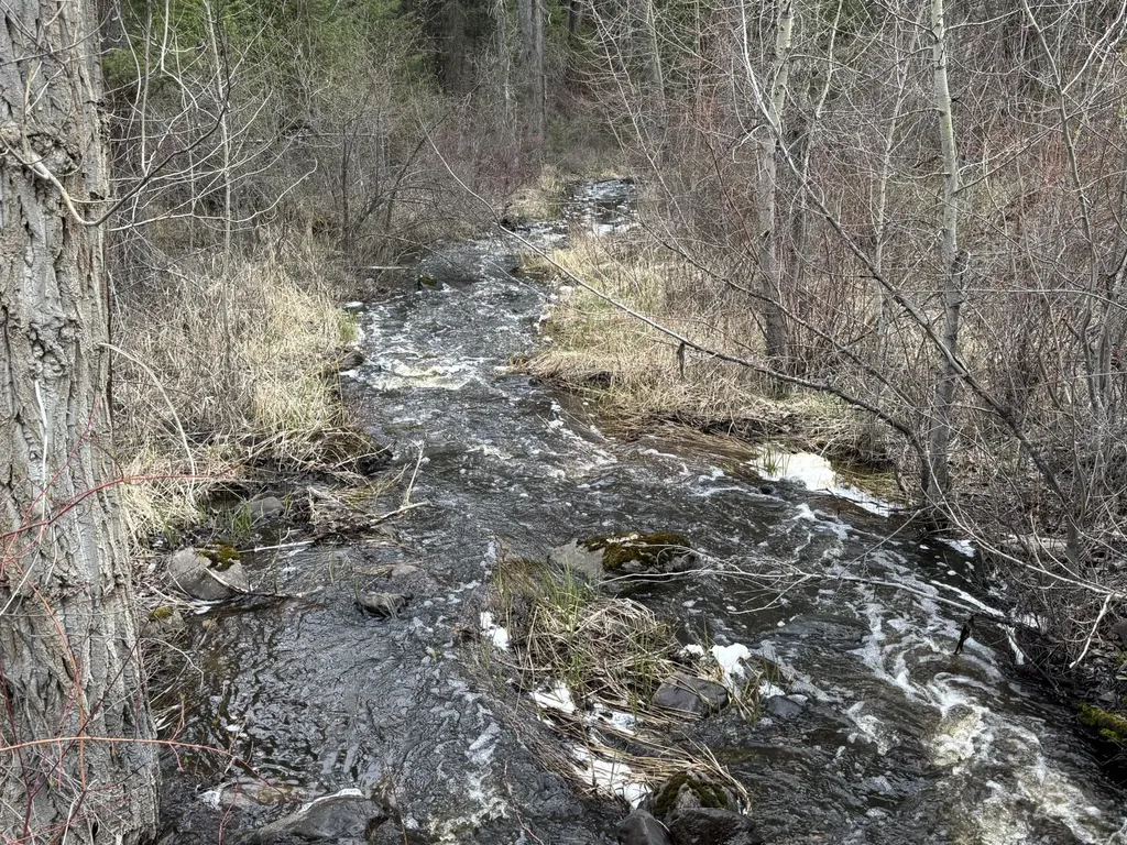 52 Haskill Ranch Road Kila MT 59920