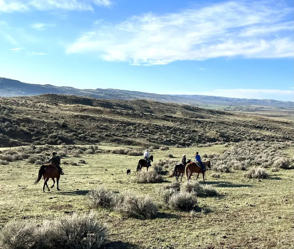 60 Five Mile Creek Road Edgar MT 59026