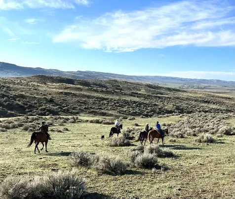 60 Five Mile Creek Road Edgar MT 59026