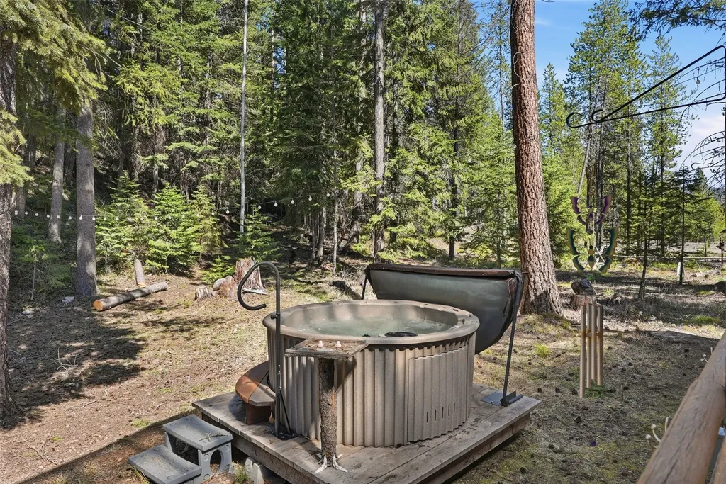 136 Brown Bear Lane De Borgia MT 59830