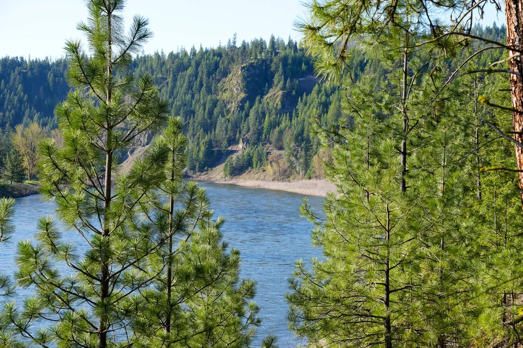 Clark Fork River Sporting Ranch Superior MT 59872