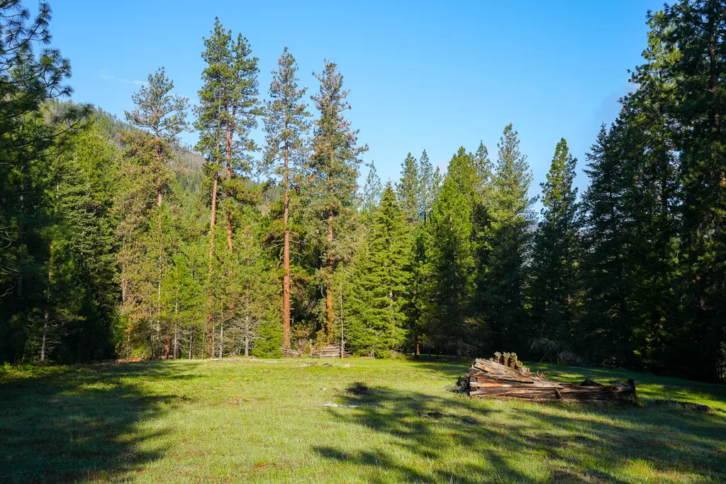 Clark Fork River Sporting Ranch Superior MT 59872