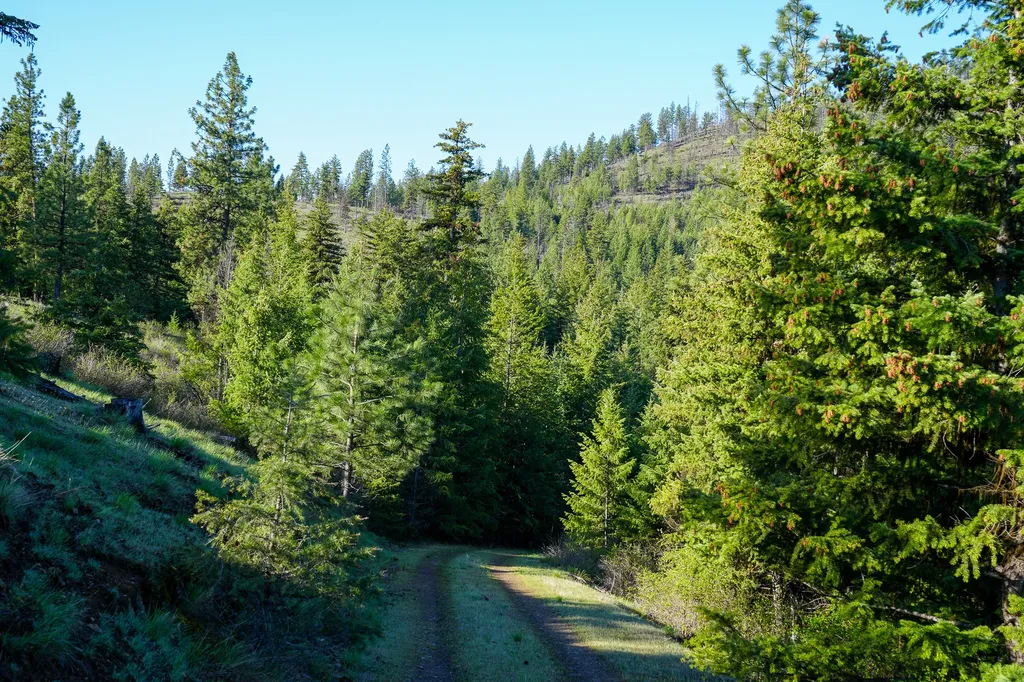 Clark Fork River Sporting Ranch Superior MT 59872