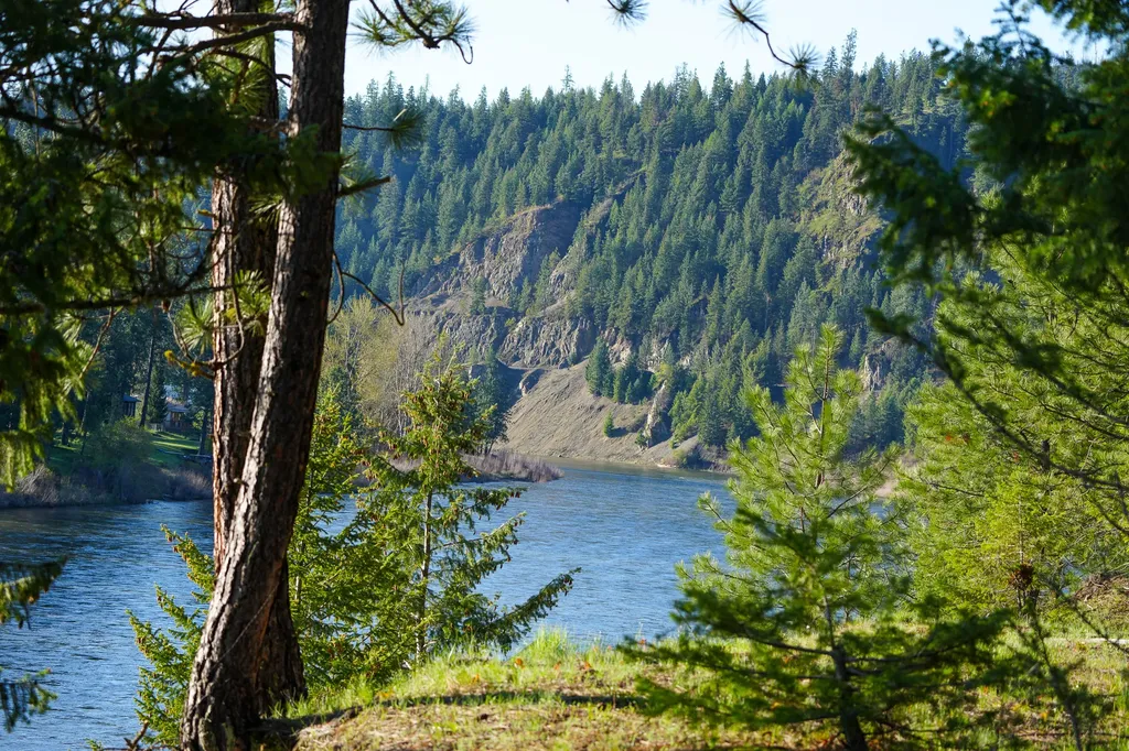 Clark Fork River Sporting Ranch Superior MT 59872