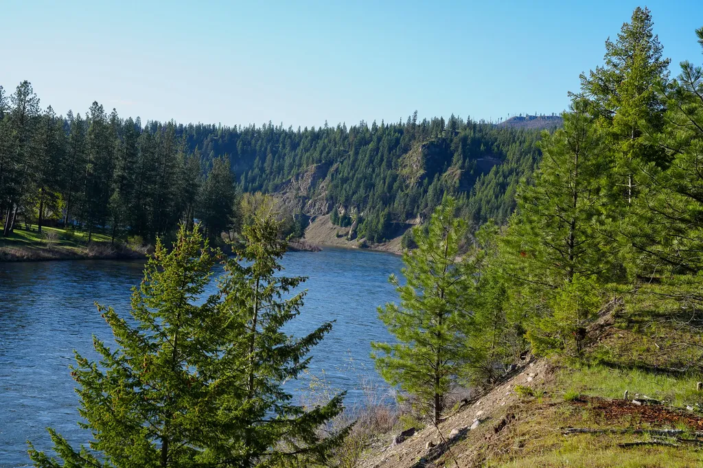 Clark Fork River Sporting Ranch Superior MT 59872