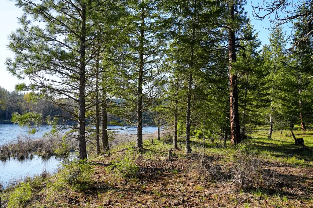 Clark Fork River Sporting Ranch Superior MT 59872