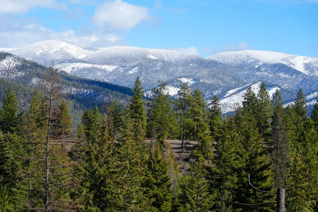 Clark Fork River Sporting Ranch Superior MT 59872