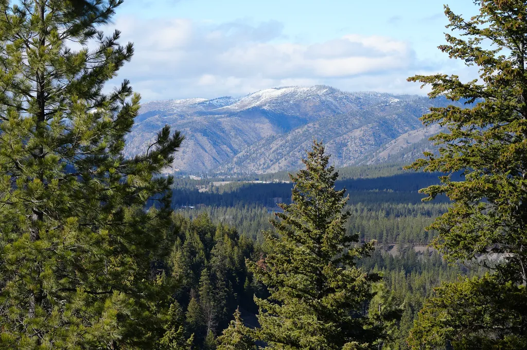 Clark Fork River Sporting Ranch Superior MT 59872