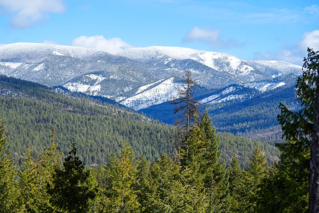 Clark Fork River Sporting Ranch Superior MT 59872