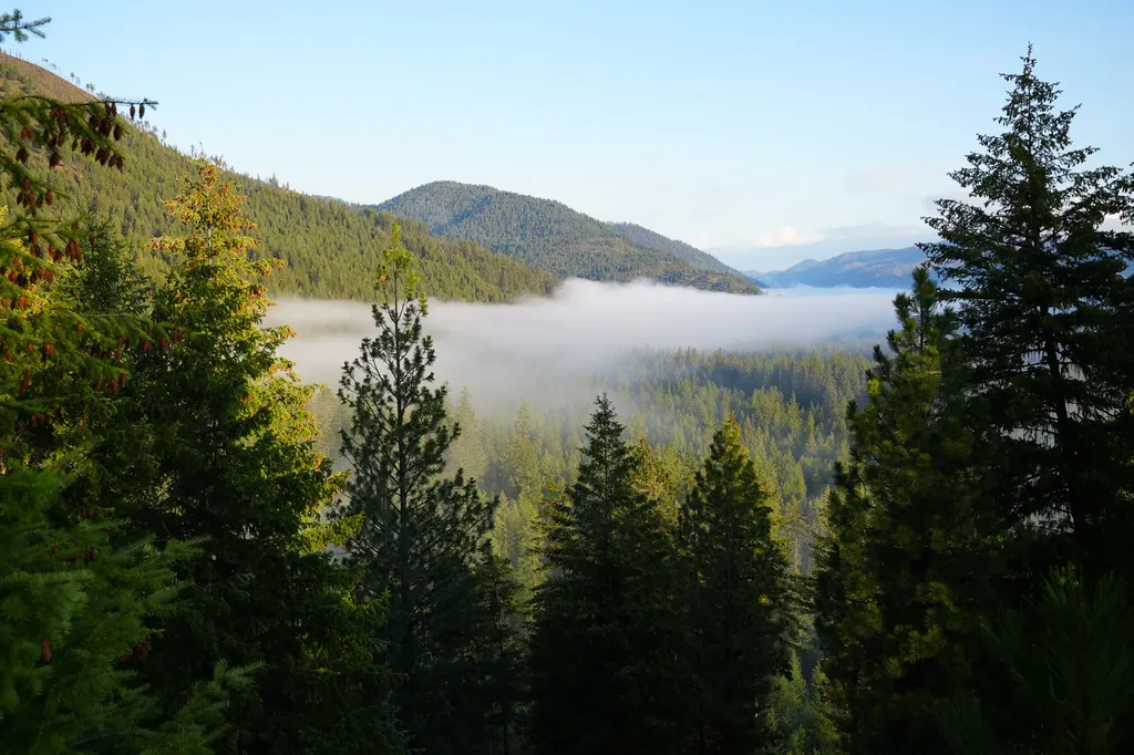 Clark Fork River Sporting Ranch Superior MT 59872