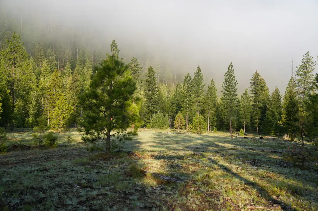 Clark Fork River Sporting Ranch Superior MT 59872