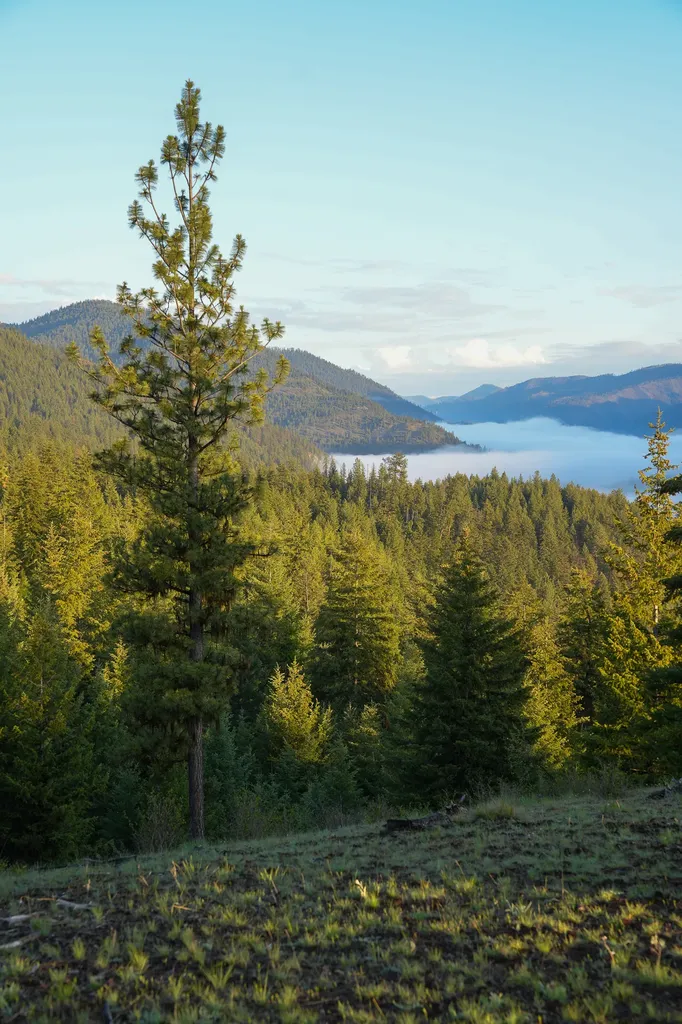 Clark Fork River Sporting Ranch Superior MT 59872