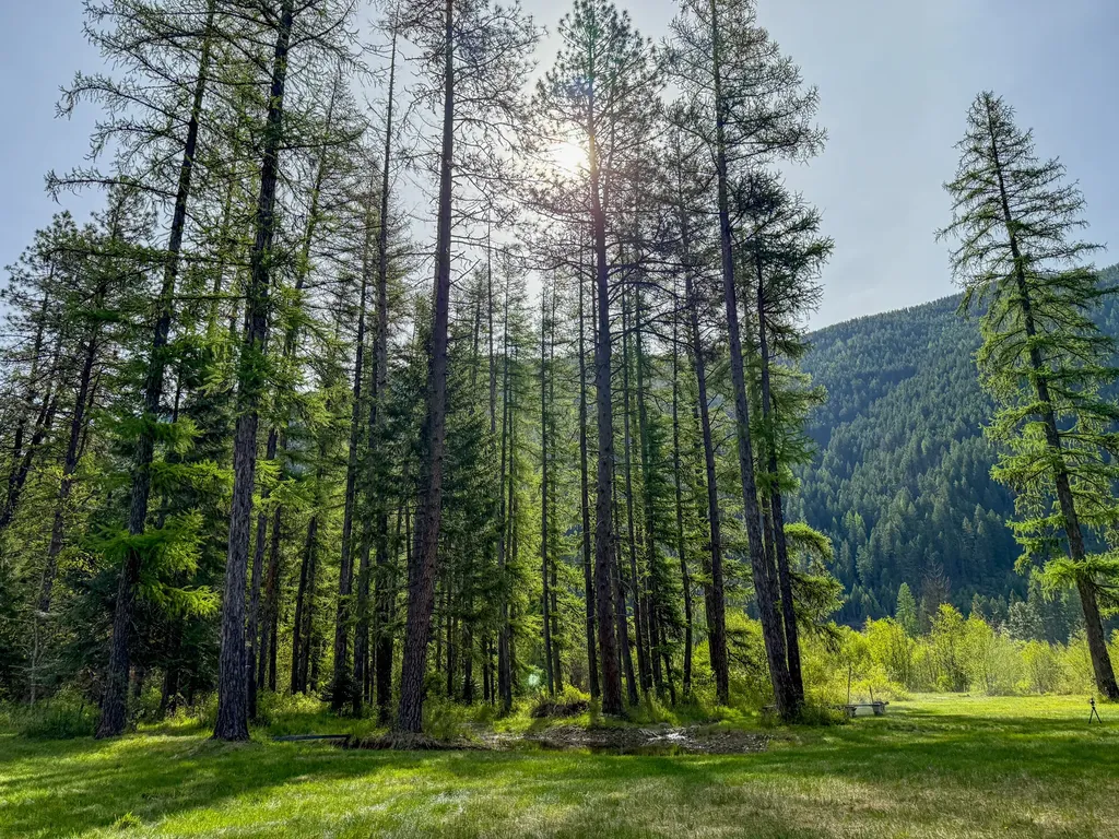168 Hope Valley Road Trout Creek MT 59874