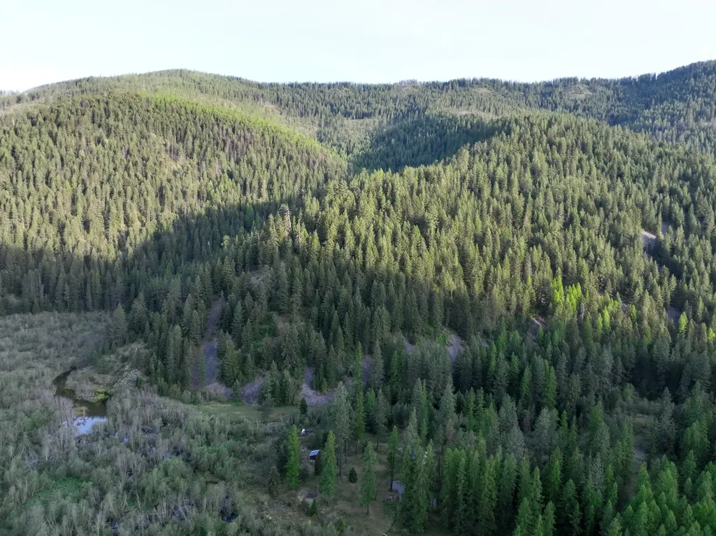 168 Hope Valley Road Trout Creek MT 59874
