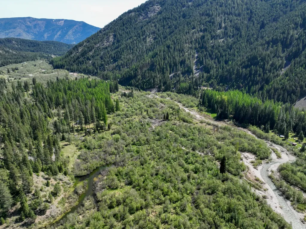 168 Hope Valley Road Trout Creek MT 59874