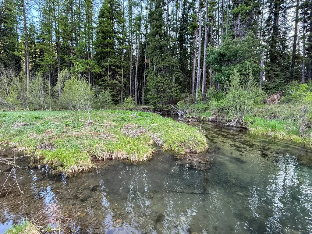 168 Hope Valley Road Trout Creek MT 59874
