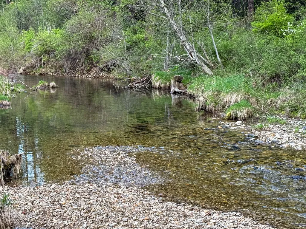 168 Hope Valley Road Trout Creek MT 59874