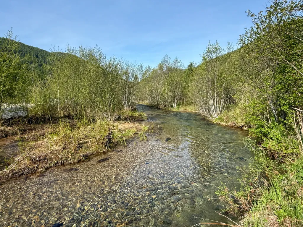 168 Hope Valley Road Trout Creek MT 59874