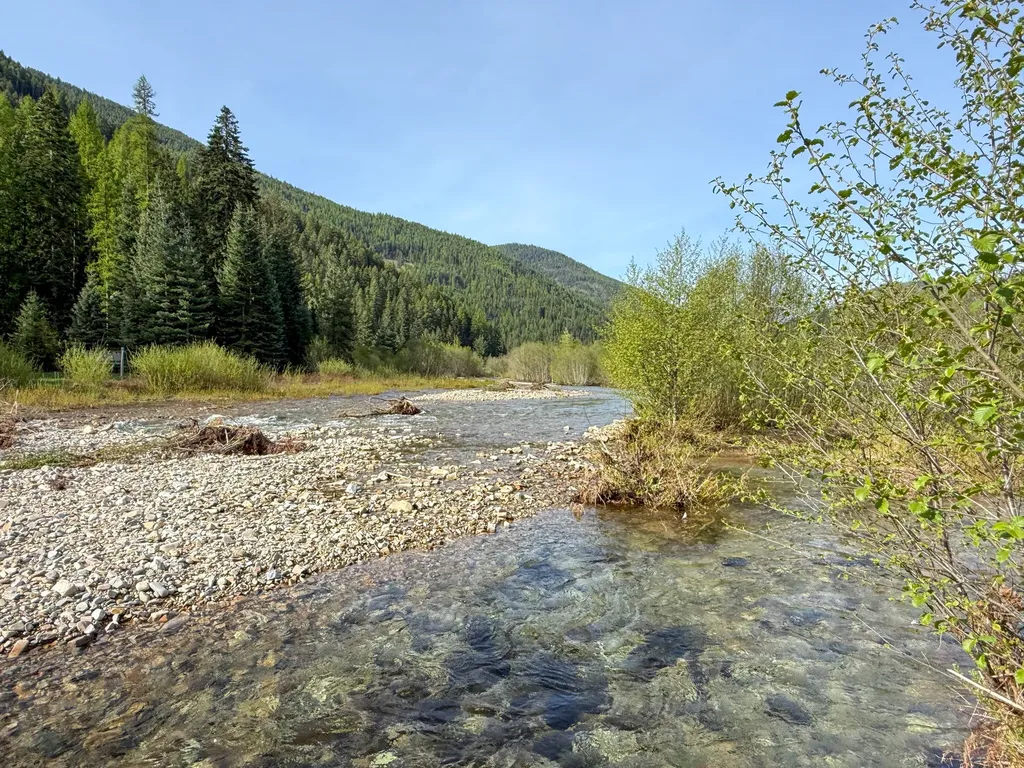 168 Hope Valley Road Trout Creek MT 59874