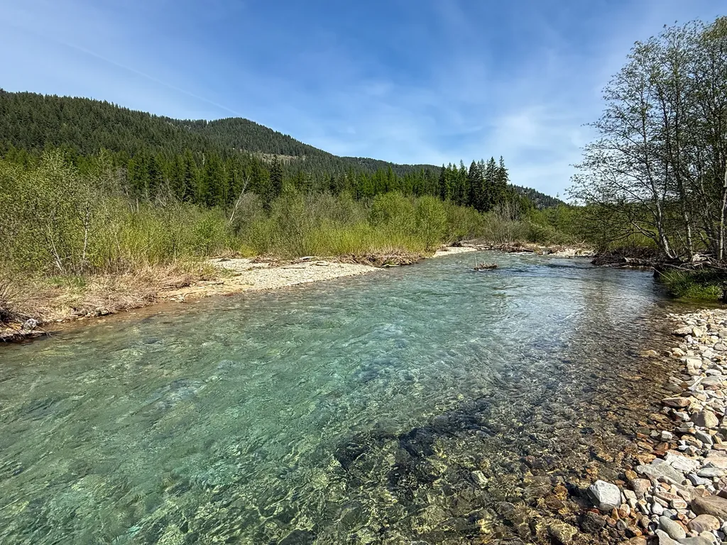 168 Hope Valley Road Trout Creek MT 59874