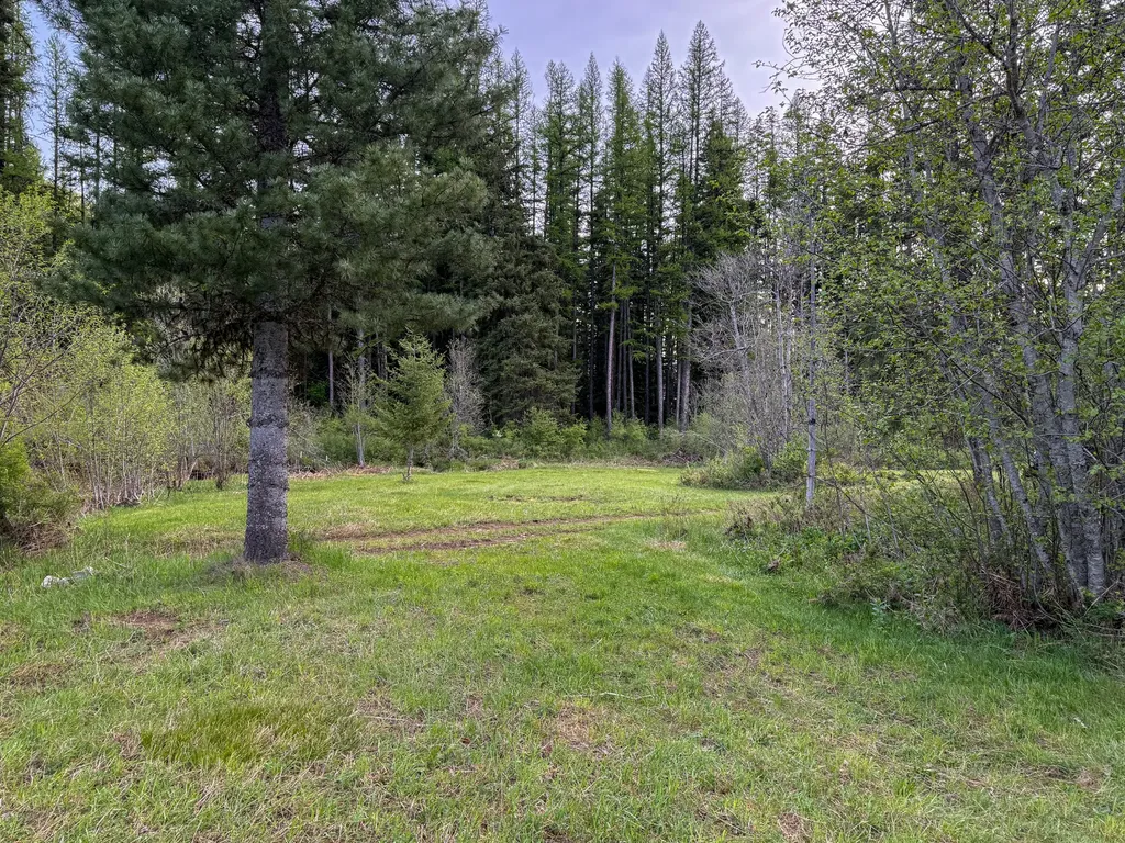 168 Hope Valley Road Trout Creek MT 59874