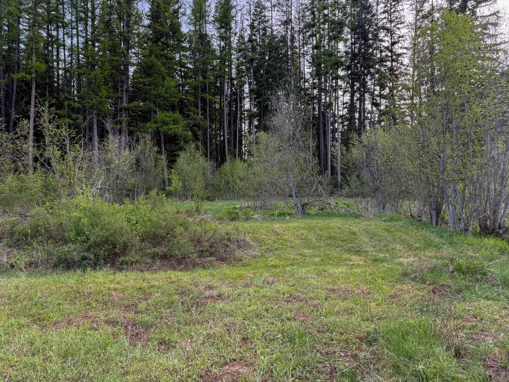 168 Hope Valley Road Trout Creek MT 59874