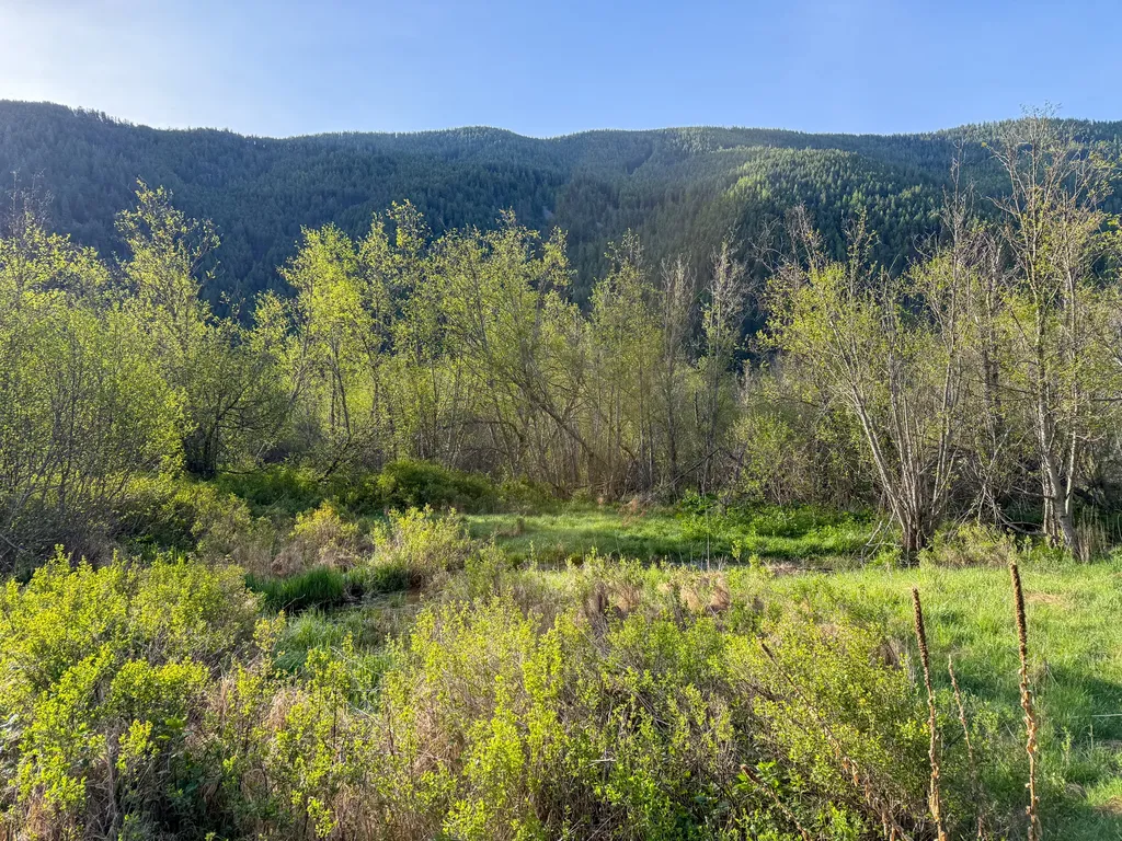 168 Hope Valley Road Trout Creek MT 59874