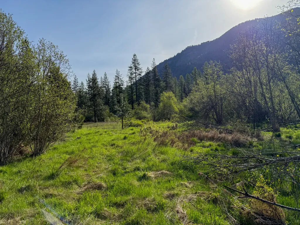168 Hope Valley Road Trout Creek MT 59874
