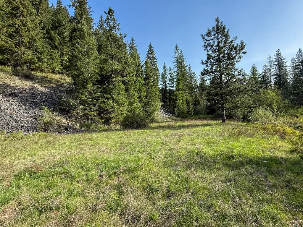 168 Hope Valley Road Trout Creek MT 59874