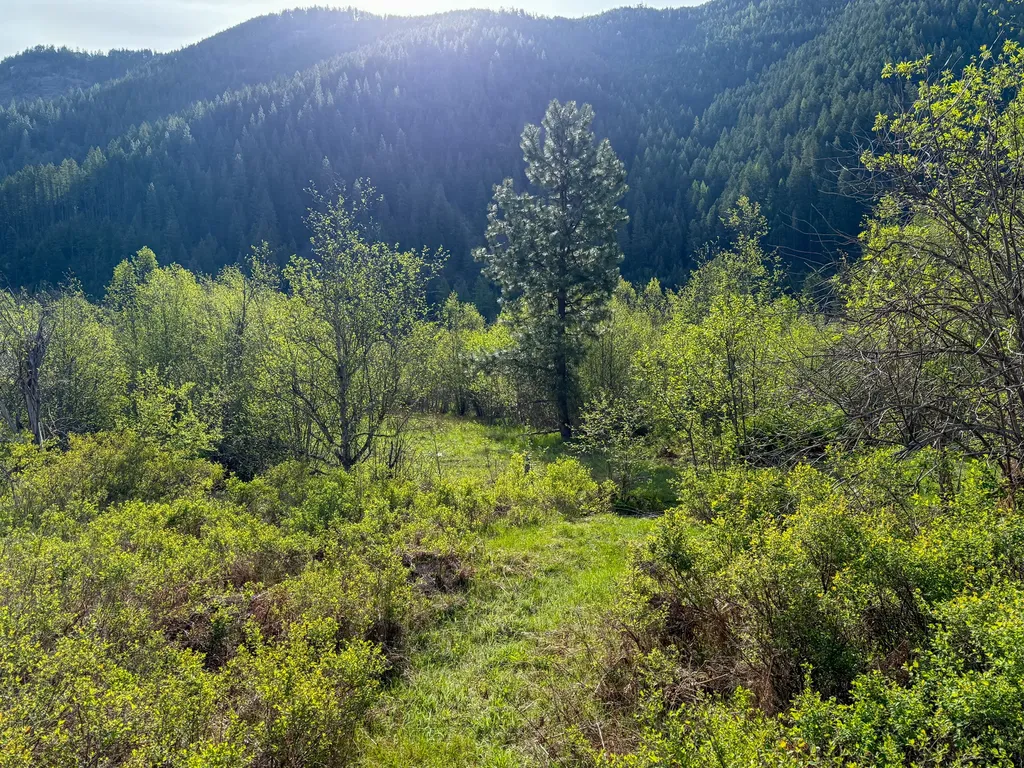168 Hope Valley Road Trout Creek MT 59874