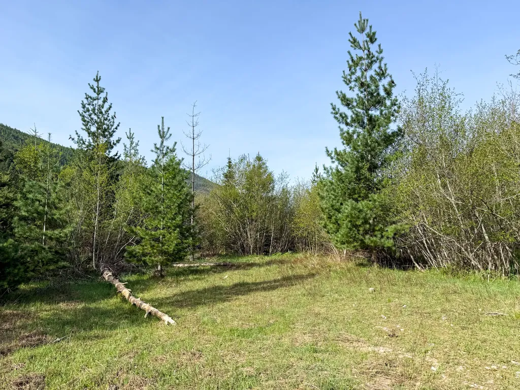 168 Hope Valley Road Trout Creek MT 59874