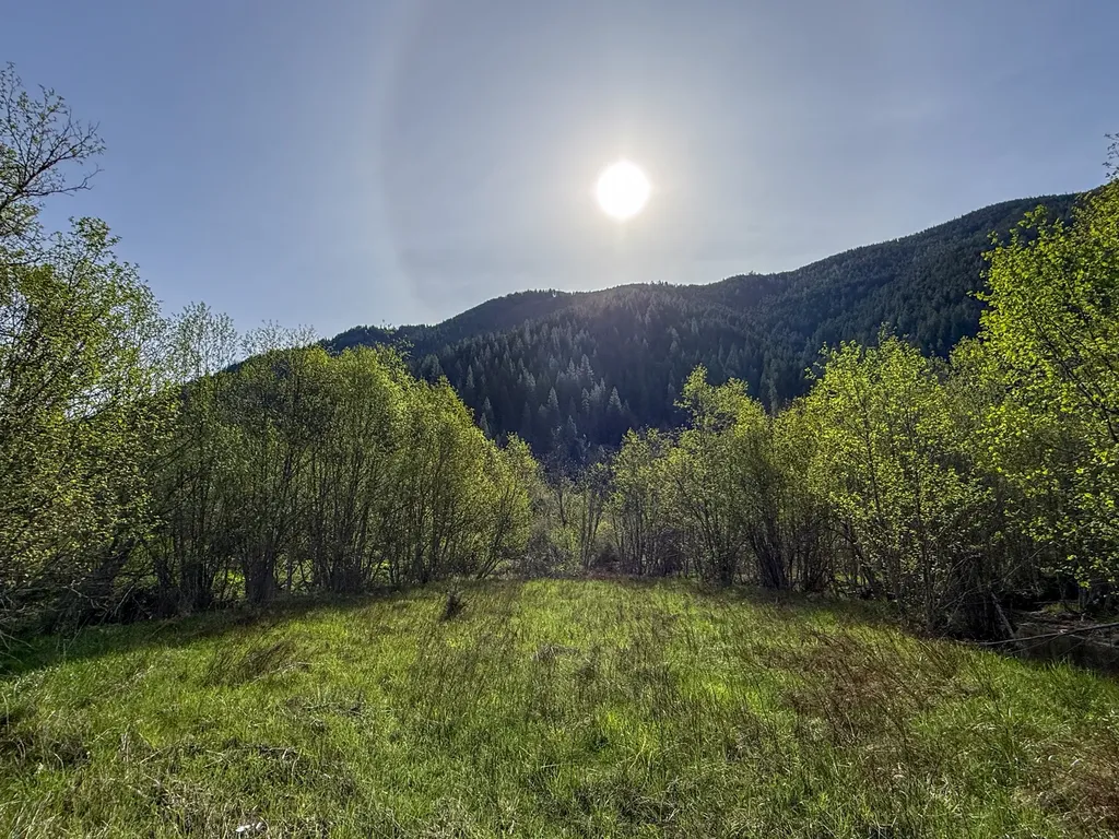 168 Hope Valley Road Trout Creek MT 59874