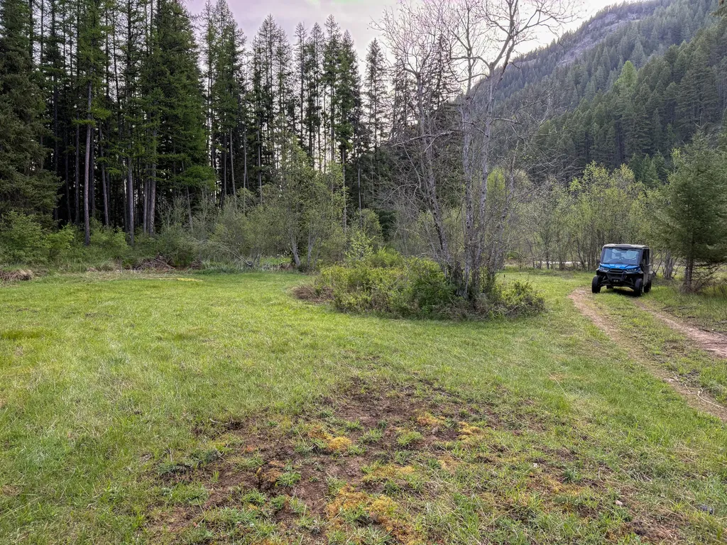 168 Hope Valley Road Trout Creek MT 59874