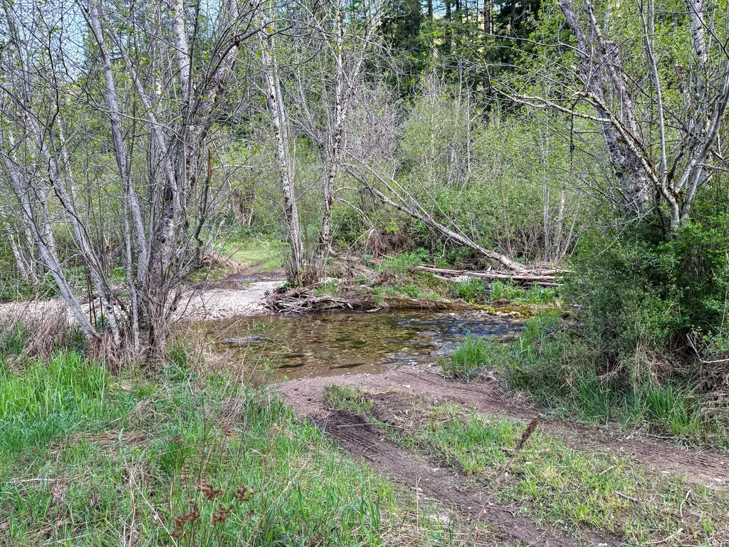 168 Hope Valley Road Trout Creek MT 59874