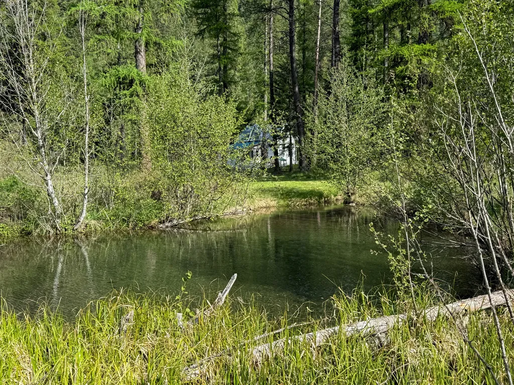 168 Hope Valley Road Trout Creek MT 59874
