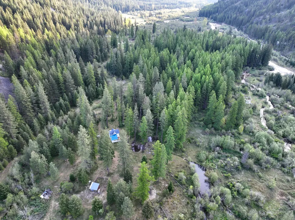 168 Hope Valley Road Trout Creek MT 59874