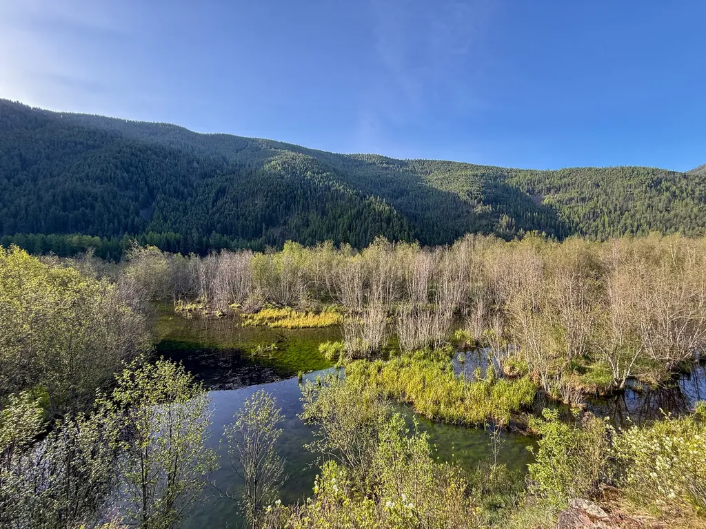 168 Hope Valley Road Trout Creek MT 59874