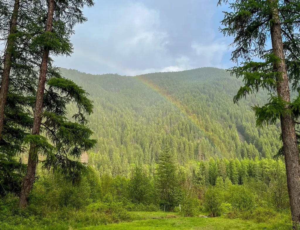 168 Hope Valley Road Trout Creek MT 59874