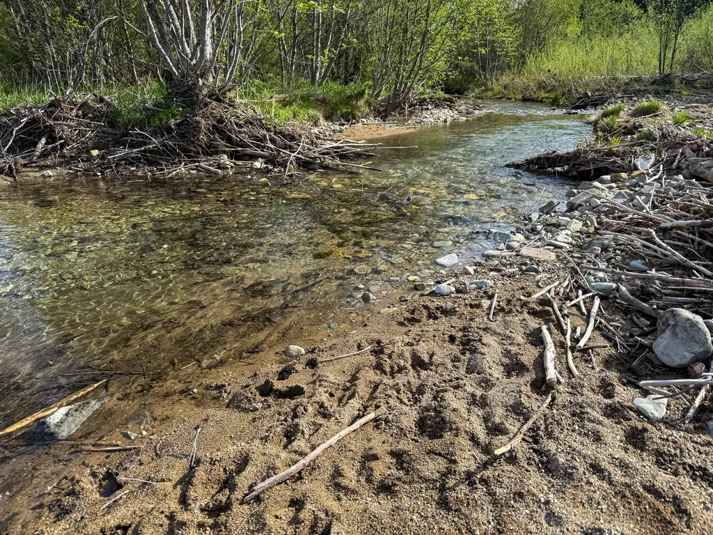168 Hope Valley Road Trout Creek MT 59874
