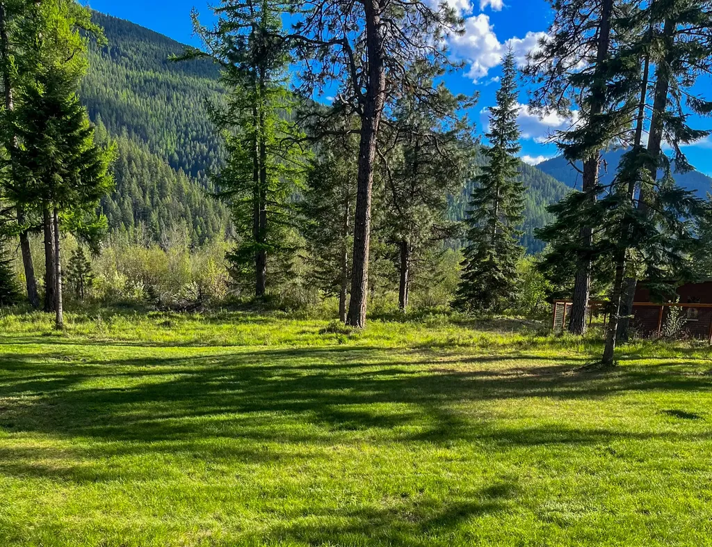 168 Hope Valley Road Trout Creek MT 59874