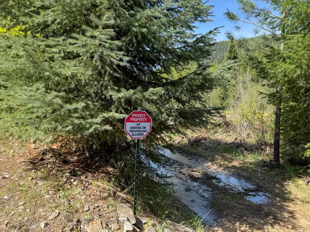168 Hope Valley Road Trout Creek MT 59874