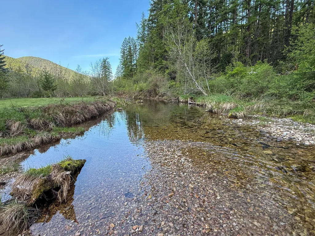 168 Hope Valley Road Trout Creek MT 59874