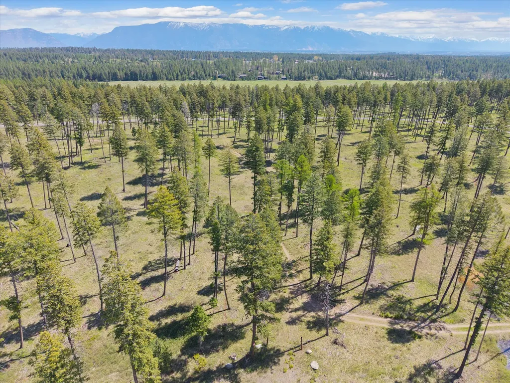 272 Layton Road Whitefish MT 59937