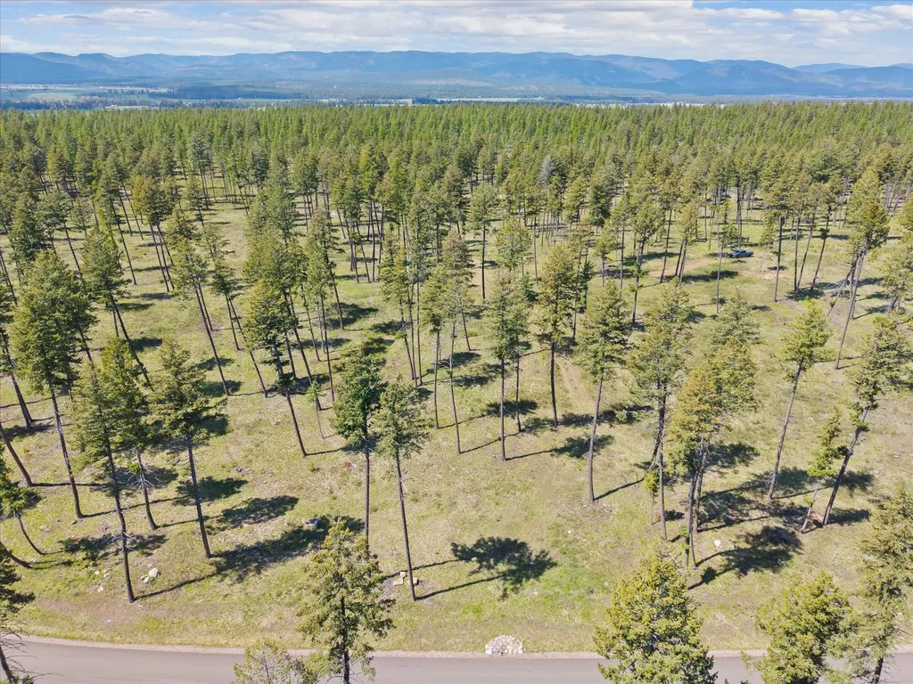 272 Layton Road Whitefish MT 59937