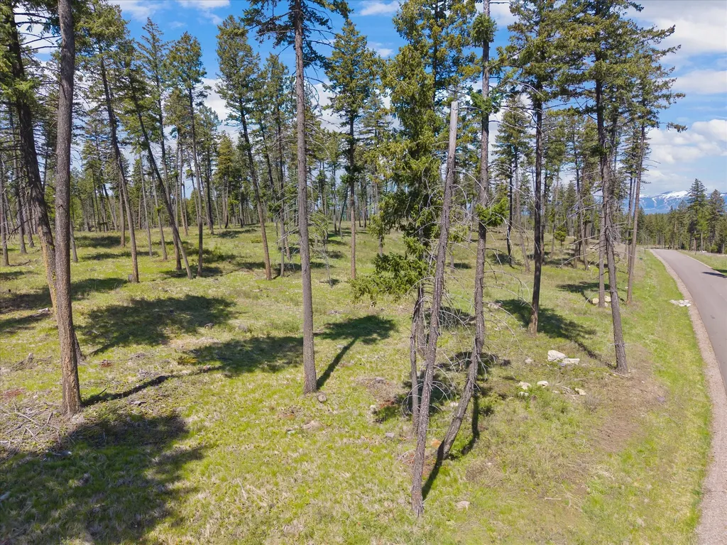 272 Layton Road Whitefish MT 59937