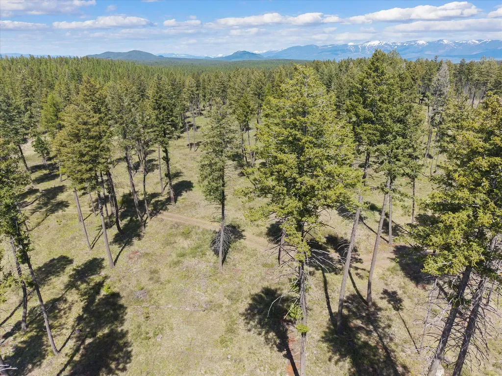 272 Layton Road Whitefish MT 59937